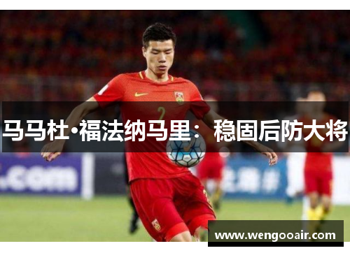 马马杜·福法纳马里：稳固后防大将