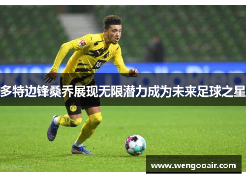 多特边锋桑乔展现无限潜力成为未来足球之星