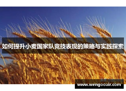 如何提升小麦国家队竞技表现的策略与实践探索