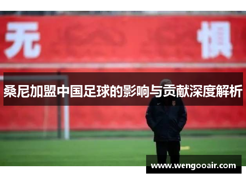 桑尼加盟中国足球的影响与贡献深度解析