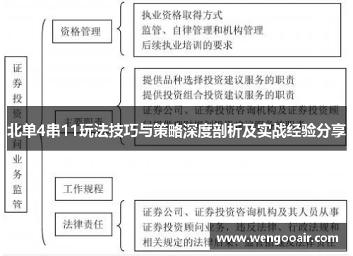 北单4串11玩法技巧与策略深度剖析及实战经验分享