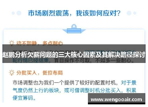 赵鹏分析欠薪问题的三大核心因素及其解决路径探讨