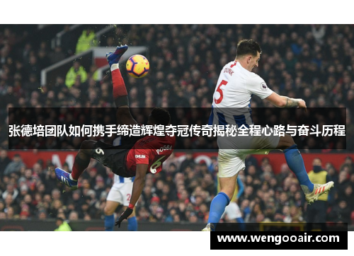 张德培团队如何携手缔造辉煌夺冠传奇揭秘全程心路与奋斗历程