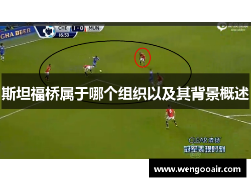 斯坦福桥属于哪个组织以及其背景概述 斯坦福桥属于哪个组织以及其背景概述